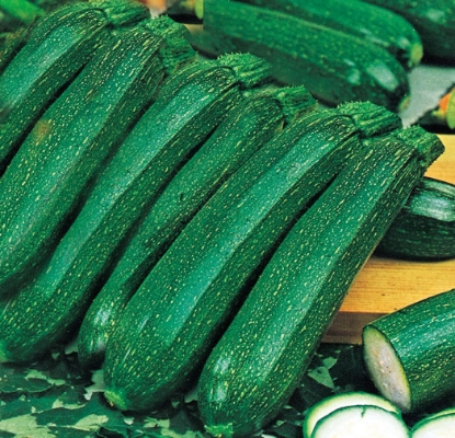 Picture of Courgette Ambassador F1
